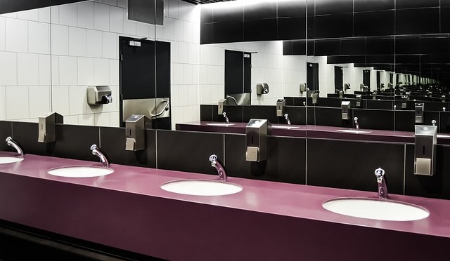 Bathroom Toilet History