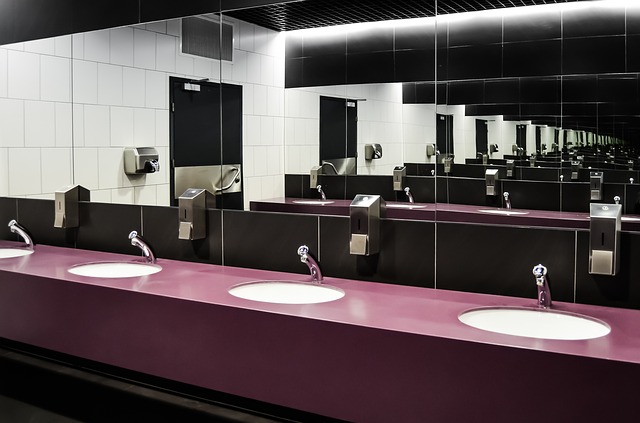 Read more about the article Bathroom Toilet History